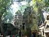 Ta Prohm